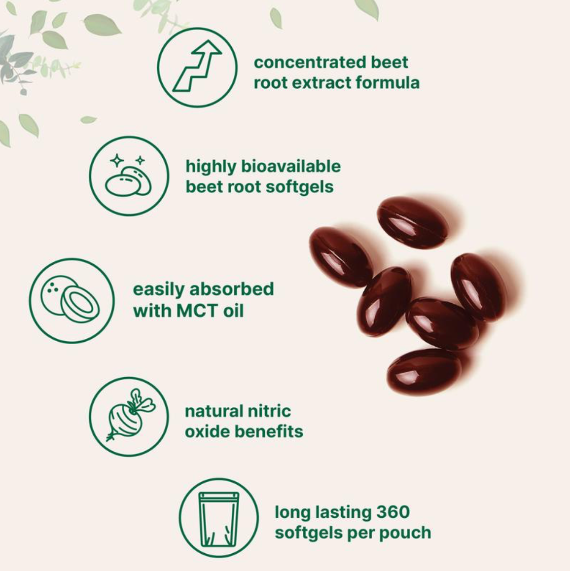 Micro Ingredients Beet Root Softgels with MCT Oil Highly Bioavailable